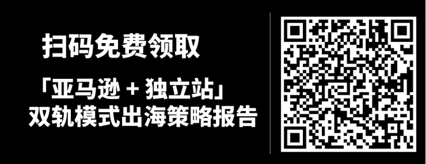  跨境新模式 ！看看这个独立站卖家如何盘活10W+用户！